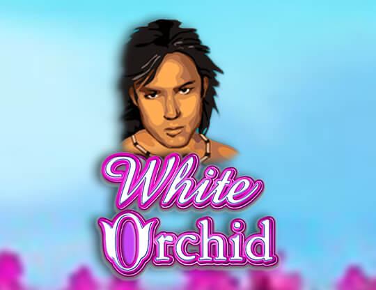 White Orchid